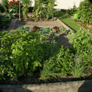 Feldkirch Dobler G  _8_.JPG