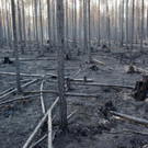 AFP_17V0EC.jpg
