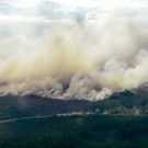 Sweden_Wildfires_98448.jpg