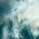 AFP_17S1O1.jpg