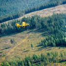 AFP_17S1P5.jpg