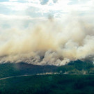 AFP_17S1F9.jpg