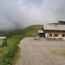 180711-33 Auenfeld.JPG