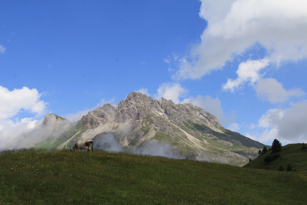 180711-56 Auenfeld.JPG