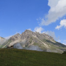 180711-56 Auenfeld.JPG
