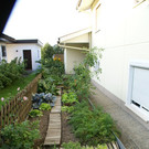 Feldkirch Jenny _6_.JPG