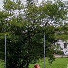 IMG_20180711_094722 _2_.jpg