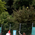 IMG_20180711_094017 _2_.jpg