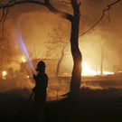 Greece_Forest_Fire_55952.jpg