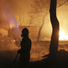 Greece_Forest_Fire_01067.jpg