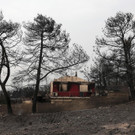 Meldungsliste_12__5.jpg