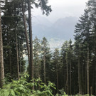 IMG_3360.jpg