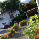 Feldkirch Schatzmann G .JPG