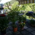 Feldkirch Schatzmann G  _3_.JPG