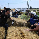 AFP_17W26F.jpg