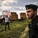 AFP_17W1V9.jpg