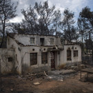 Meldungsliste_56__17.jpg