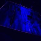 1208906.jpg