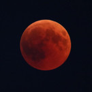 2180727fmt_blutmond_ta_007.JPG