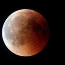 ABD0216-20180727.jpg