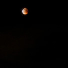 ABD0217-20180727.jpg