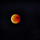 Blutmond im Ländle: Bilder aus Egg
