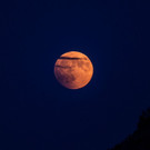AFP_17Z65I.jpg