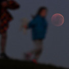 AFP_17Z69F.jpg