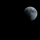 AFP_17Z641.jpg