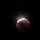 AFP_17Z664.jpg