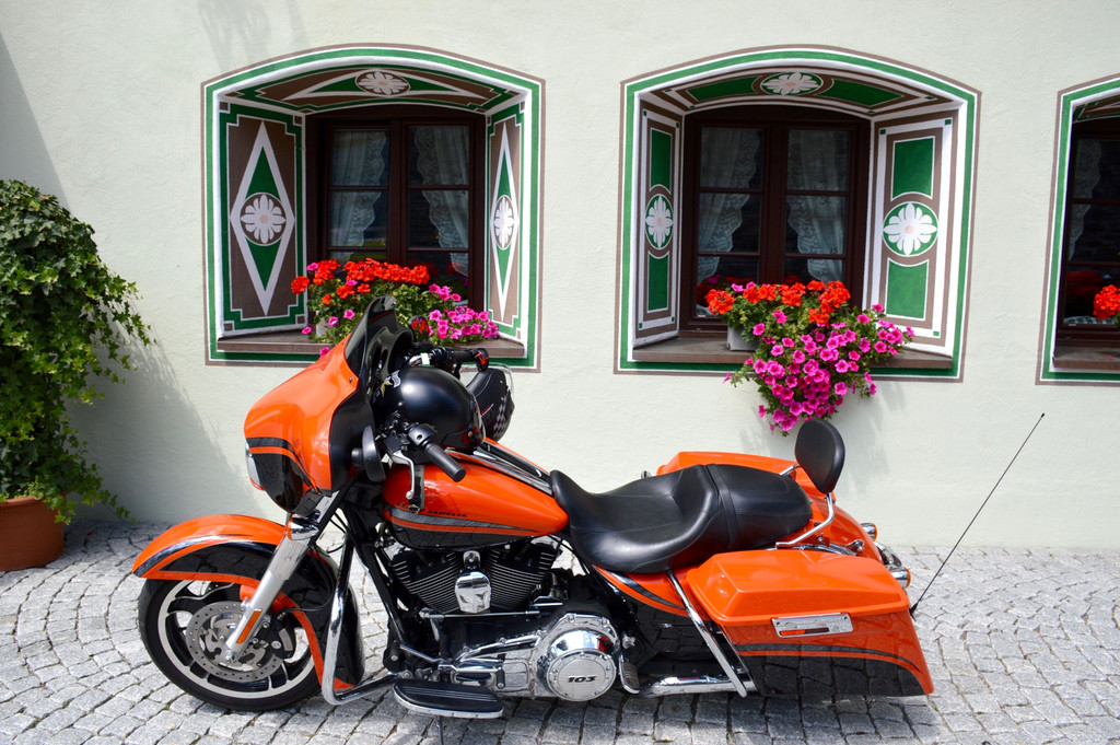 DSC_0767.jpg