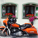 DSC_0767.jpg