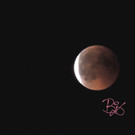 WaterMark_2018-07-28-13-58-34.jpg