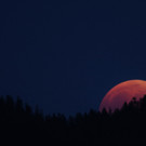 Blutmond-Bilder aus Vorarlberg
