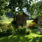 Nenzing Barwart G .JPG