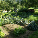 Nenzing Barwart G  _3_.JPG