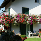 Nenzing Borg G  _4_.JPG