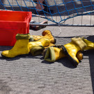 20180728fmt_Stiefelschmei__en_ex_14.JPG