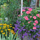 Blumenschmuck_2018_05.jpg