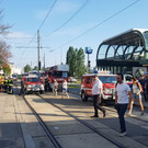 20180730_080506.jpg