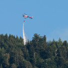 Waldbrand in Götzis