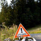 Br_MeschachWald133.JPG