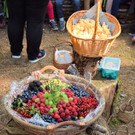 DSC_0039.JPG