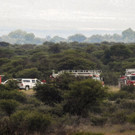 AFP_1820FC.jpg