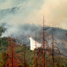 AFP_17V2B5.jpg