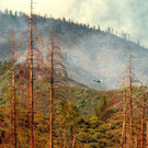 AFP_17V2B4.jpg
