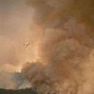 AFP_17U6S0.jpg