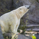 Meldungsliste_12__6.jpg