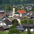 DSC_0660 _1_.jpg