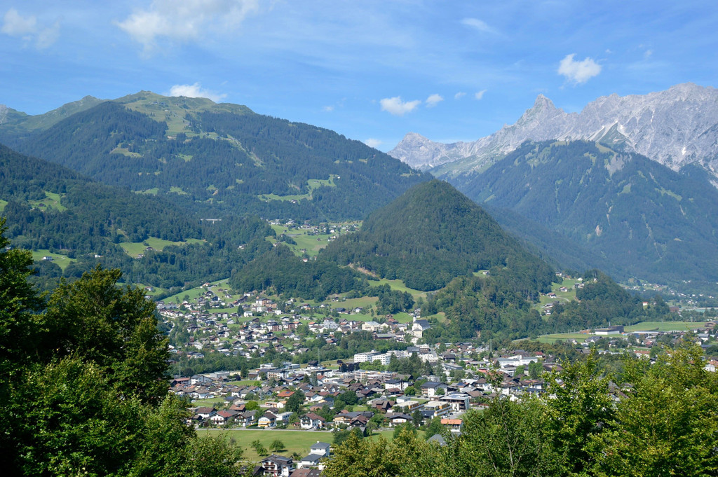 DSC_0695.jpg